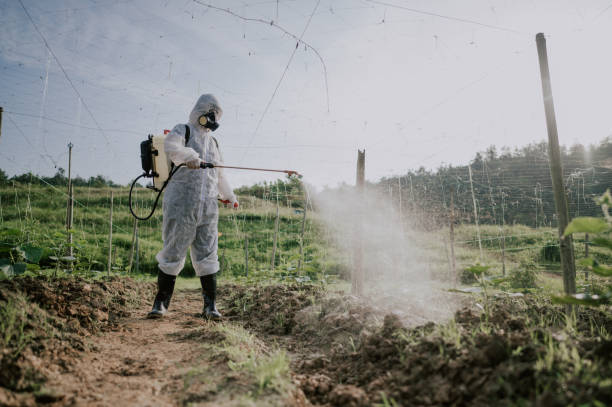 Best Best Pest Control Companies  in Wolf Creek, UT
