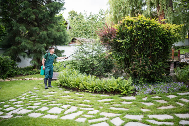 Best Mosquito Control Services  in Wolf Creek, UT