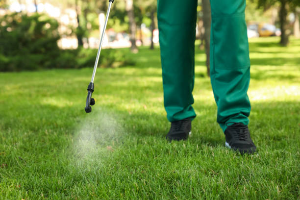 Best Best Pest Control Companies  in Wolf Creek, UT
