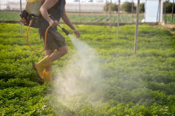 Trusted Wolf Creek, UT Pest Control Experts