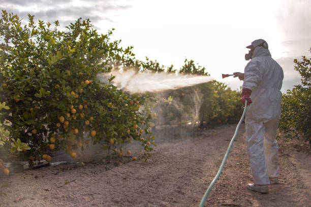 Reliable Wolf Creek, UT Pest Control Solutions